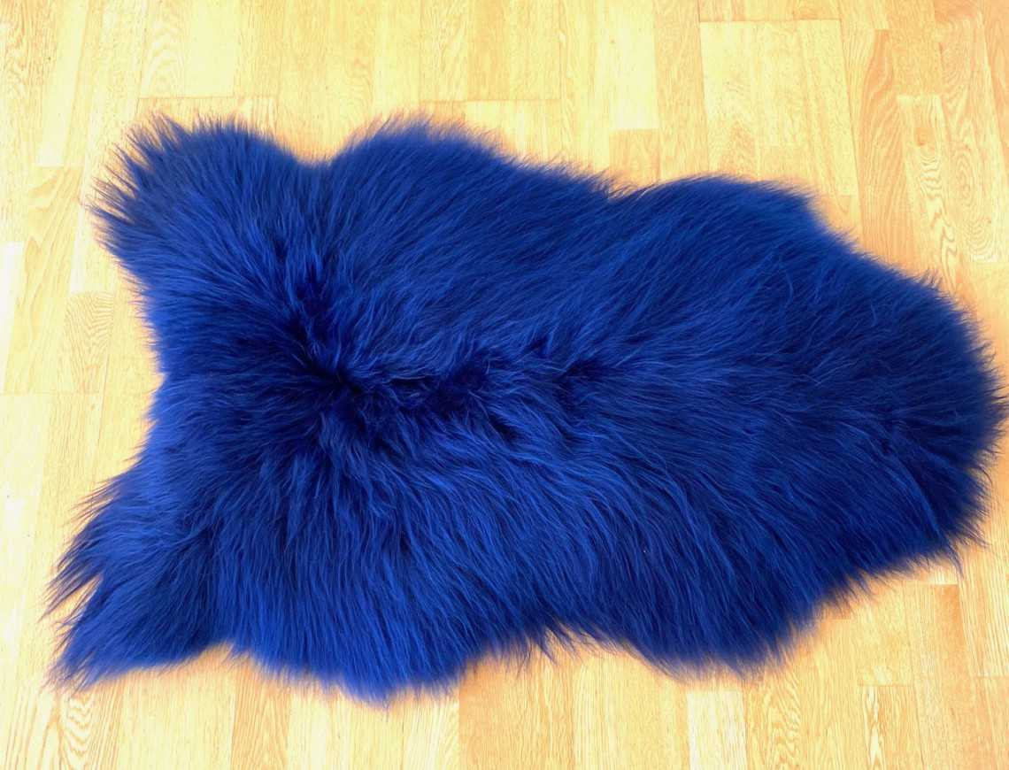 Blue Dyed Icelandic Sheep