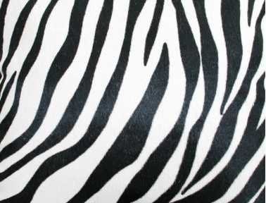 DOUBLE-SIDED Zebra Printed Cowhide Cushion