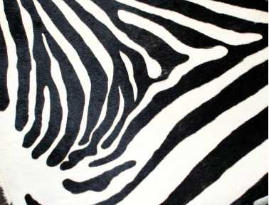 Zebra Cowhide Pouf