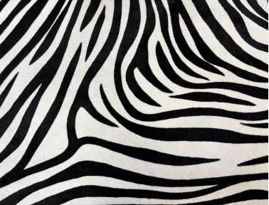 Zebra print half-cowhide for upholstery