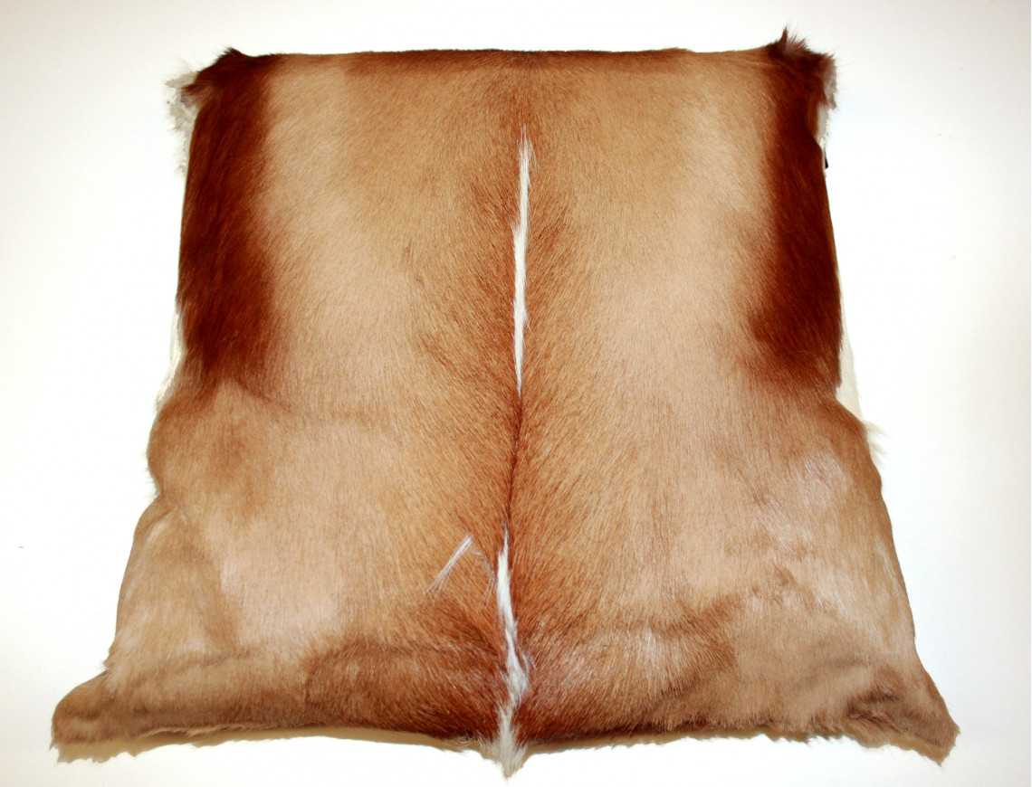 Springbok Skin Cushion