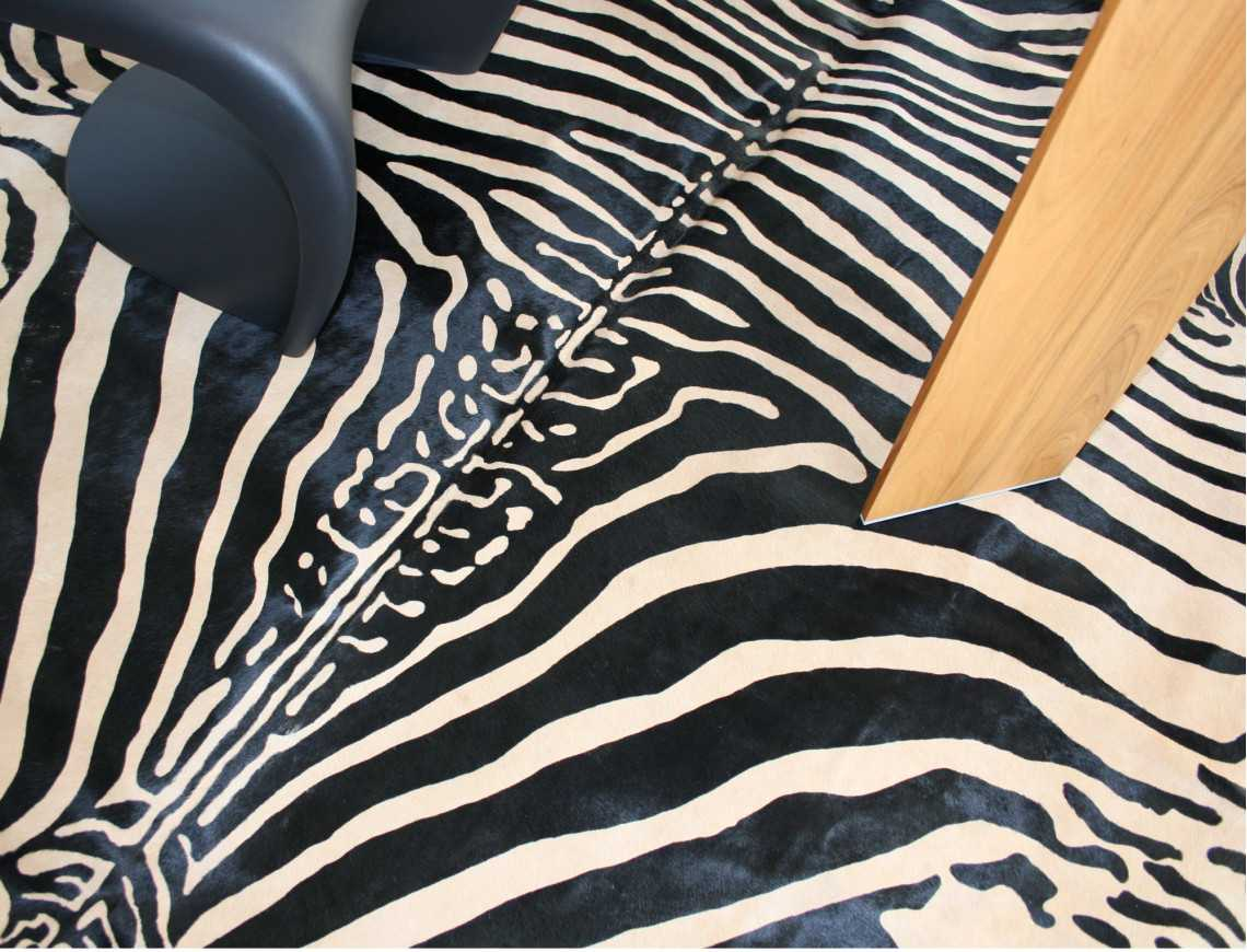 Zebra printed cowhide on beige background