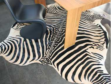 Zebra printed cowhide on beige background