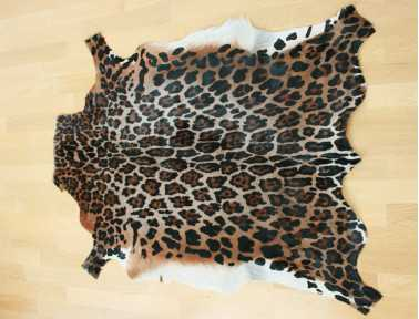 Leopard Print Blesbok Skin