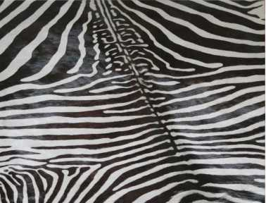 Grey Zebra Cowhide