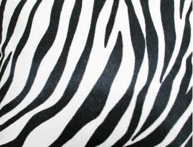 Rectangular cushion in DOUBLE-SIDED Zebra Skin