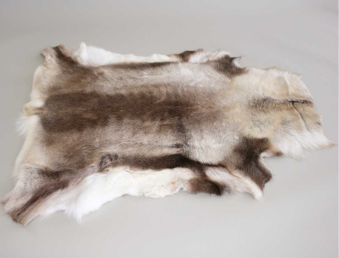 Lapland reindeer skin