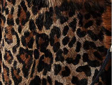 Sac Safari by Sonia.M