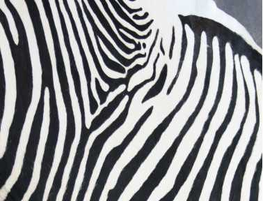 Zebra Printed Cowhide