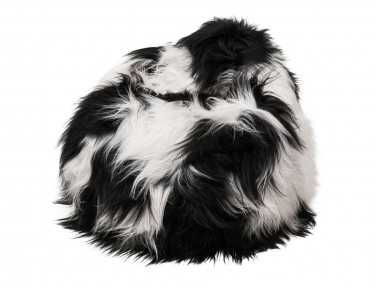 Black and white Icelandic sheepskin beanbag