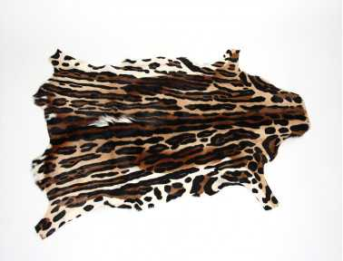 Leopard Print Springbok Skin