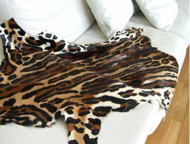 Leopard Print Springbok Skin