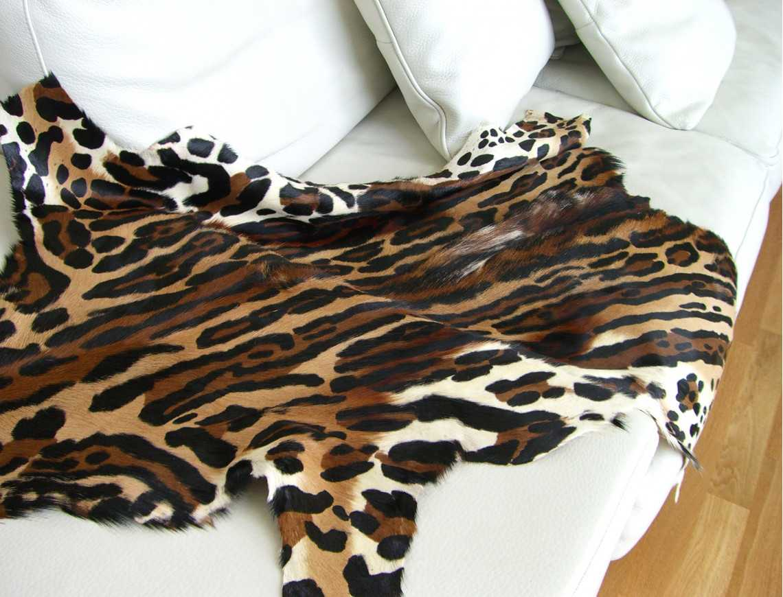 Leopard Print Springbok Skin