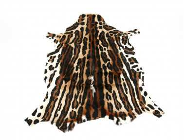 Leopard Print Springbok Skin