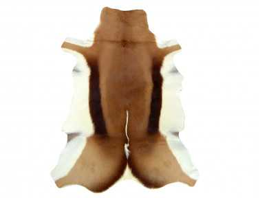 Natural Springbok Skin