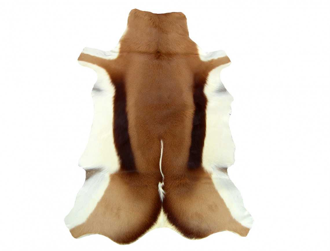 Natural Springbok Skin