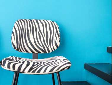 Zebra Cowhide Chair "Pompon" by Sonia M