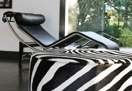 Decoration Inspiration: The Elegance of the Zebra Pattern